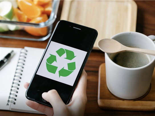 comunicacion@redceres.org