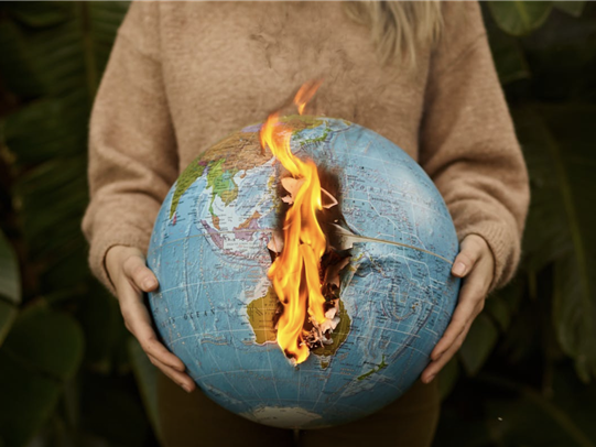 comunicacion@redceres.org