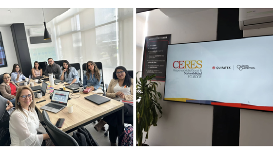 comunicacion@redceres.org