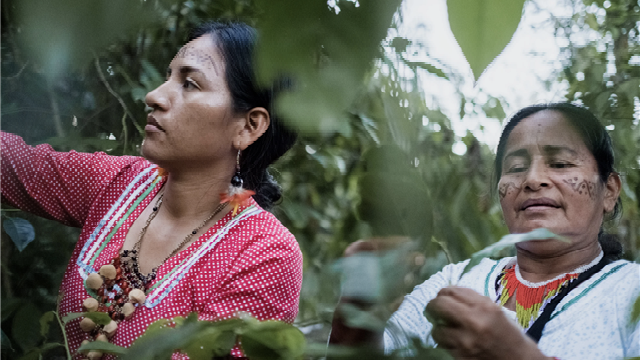 comunicacion@redceres.org