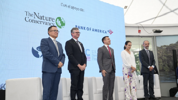 comunicacion@redceres.org