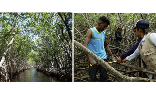 comunicacion@redceres.org