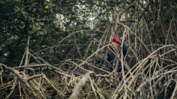 comunicacion@redceres.org