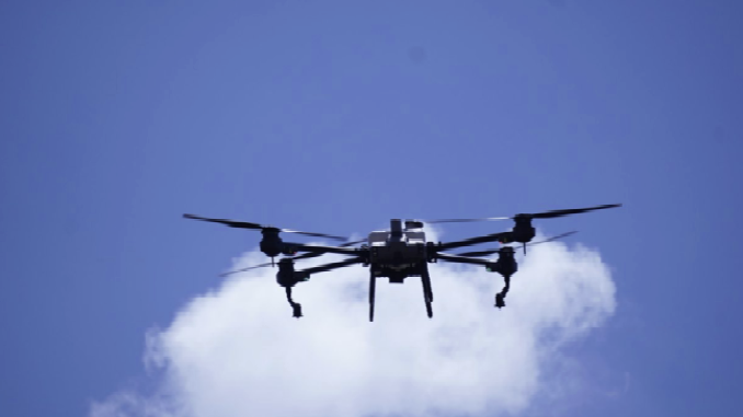 comunicacion@redceres.org