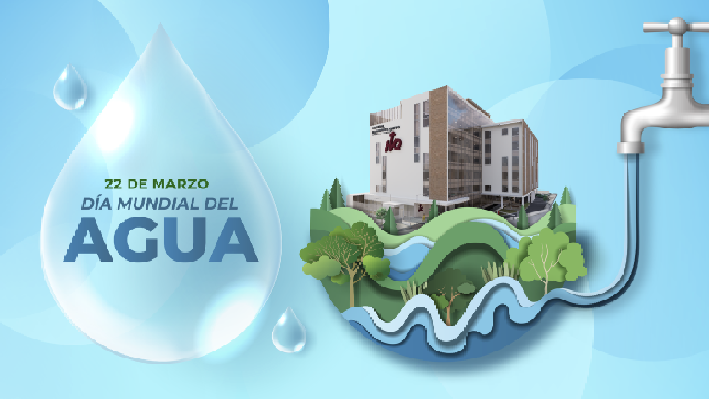 comunicacion@redceres.org