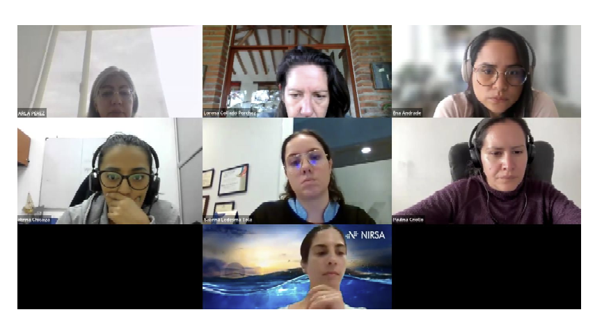 comunicacion@redceres.org