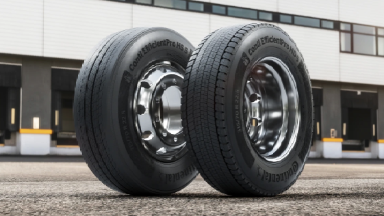 comunicacion@redceres.org