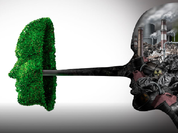 comunicacion@redceres.org