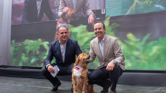 comunicacion@redceres.org