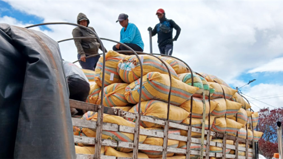 comunicacion@redceres.org