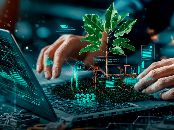 comunicacion@redceres.org