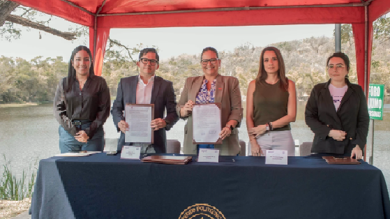 comunicacion@redceres.org