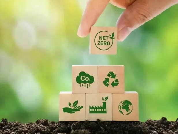 comunicacion@redceres.org