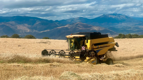 comunicacion@redceres.org