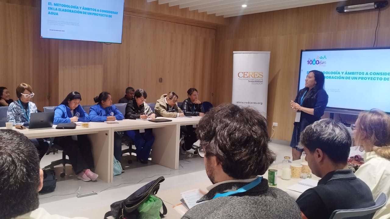 comunicacion@redceres.org