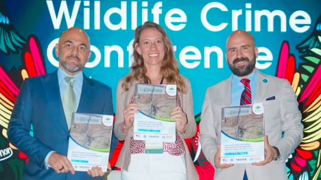 comunicacion@redceres.org