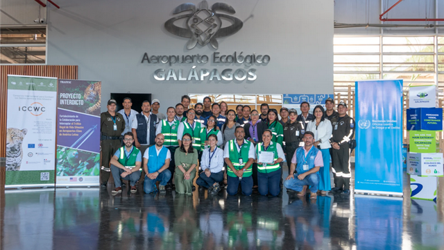 comunicacion@redceres.org