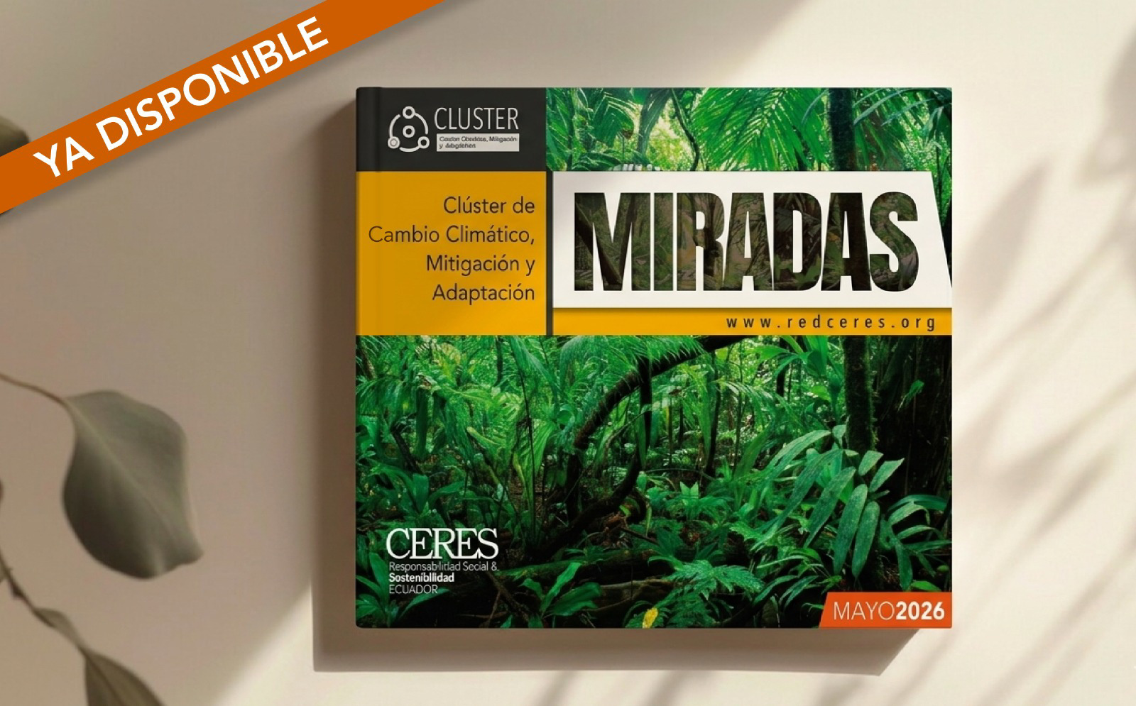 comunicacion@redceres.org