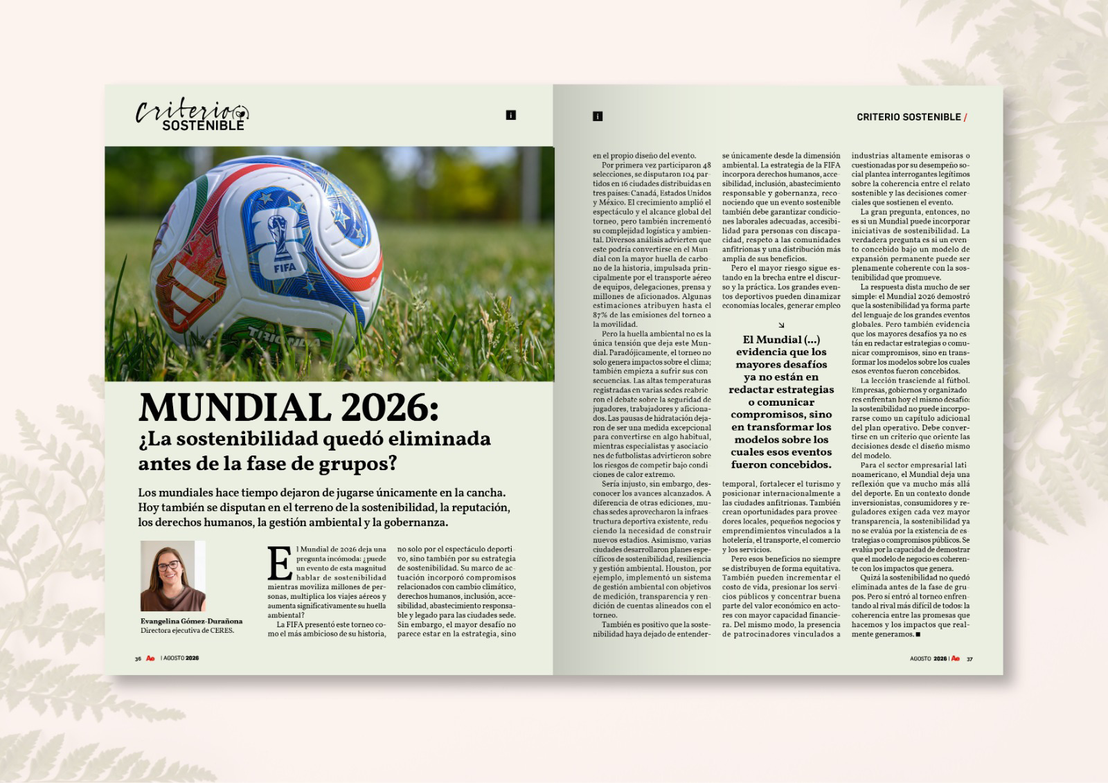 comunicacion@redceres.org