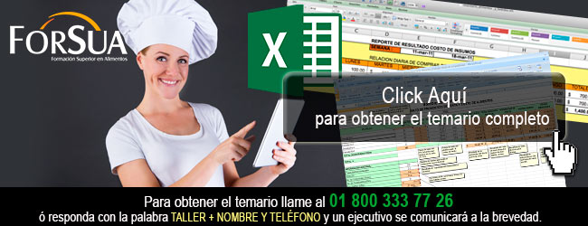 Formatos de Operacion y   Controles Basicos en Excel para Restaurantes