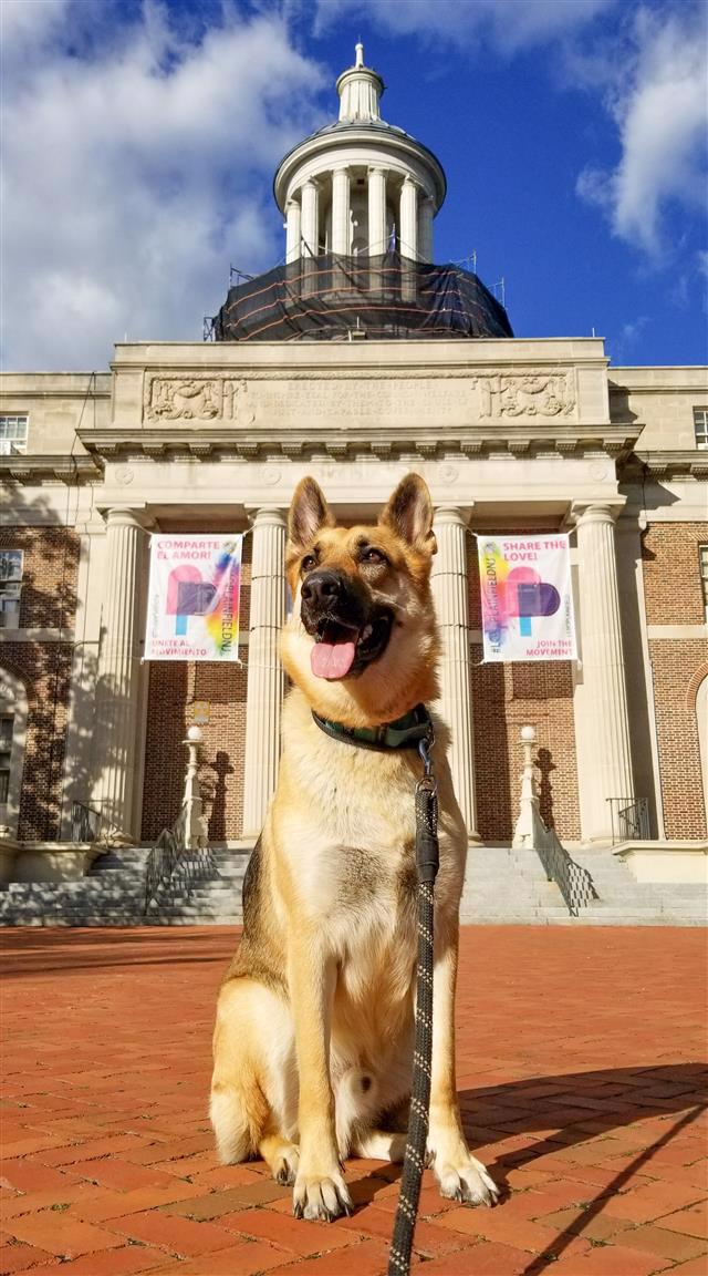 "City Howl" by Michael Kasprzak