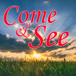 Child reading in silhouette