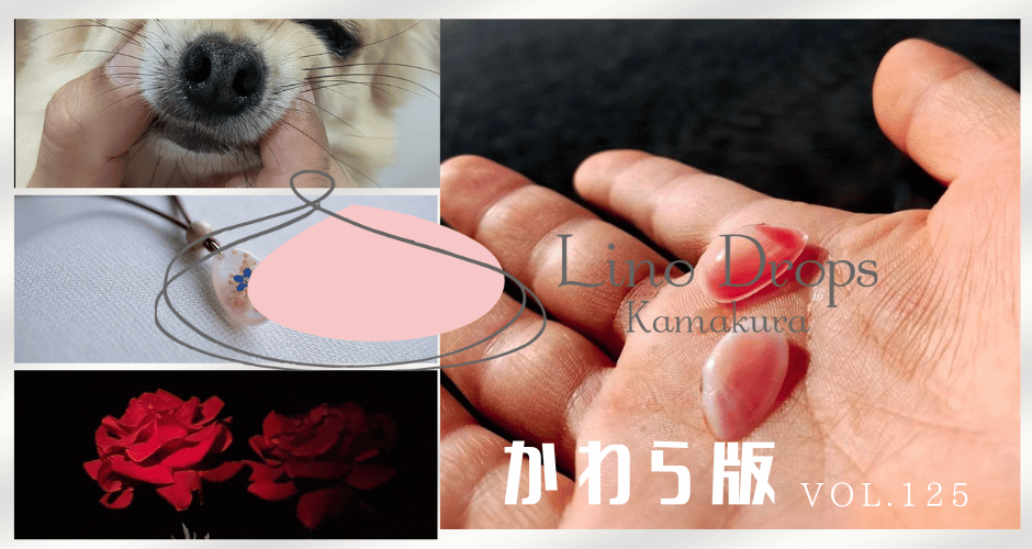Lino Drops Kamakura