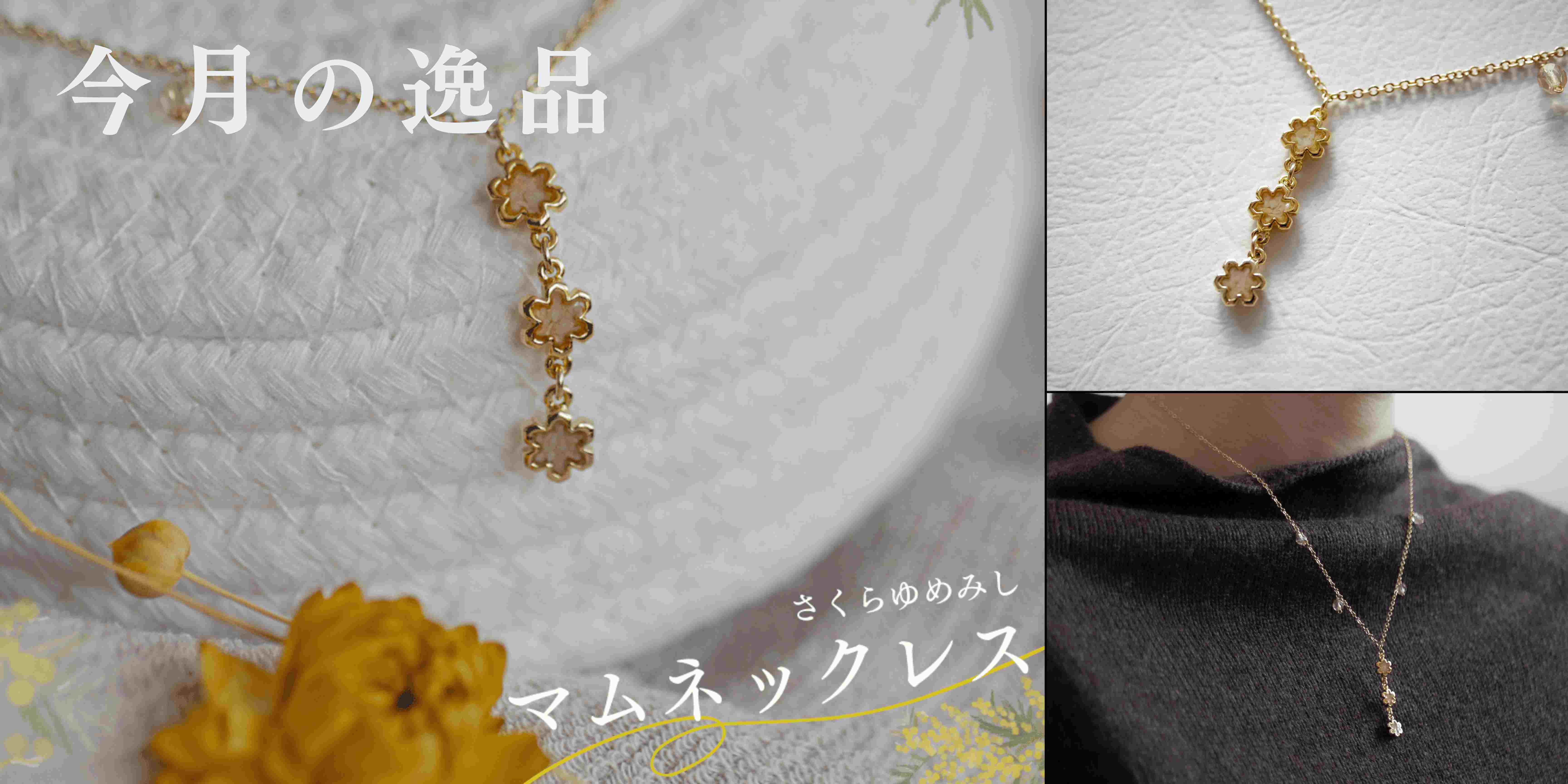 今月の逸品