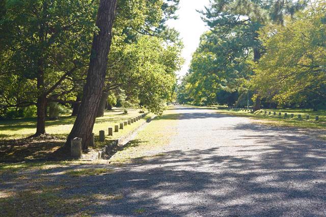 京都瑠璃雛菊のプロジェクトレポート