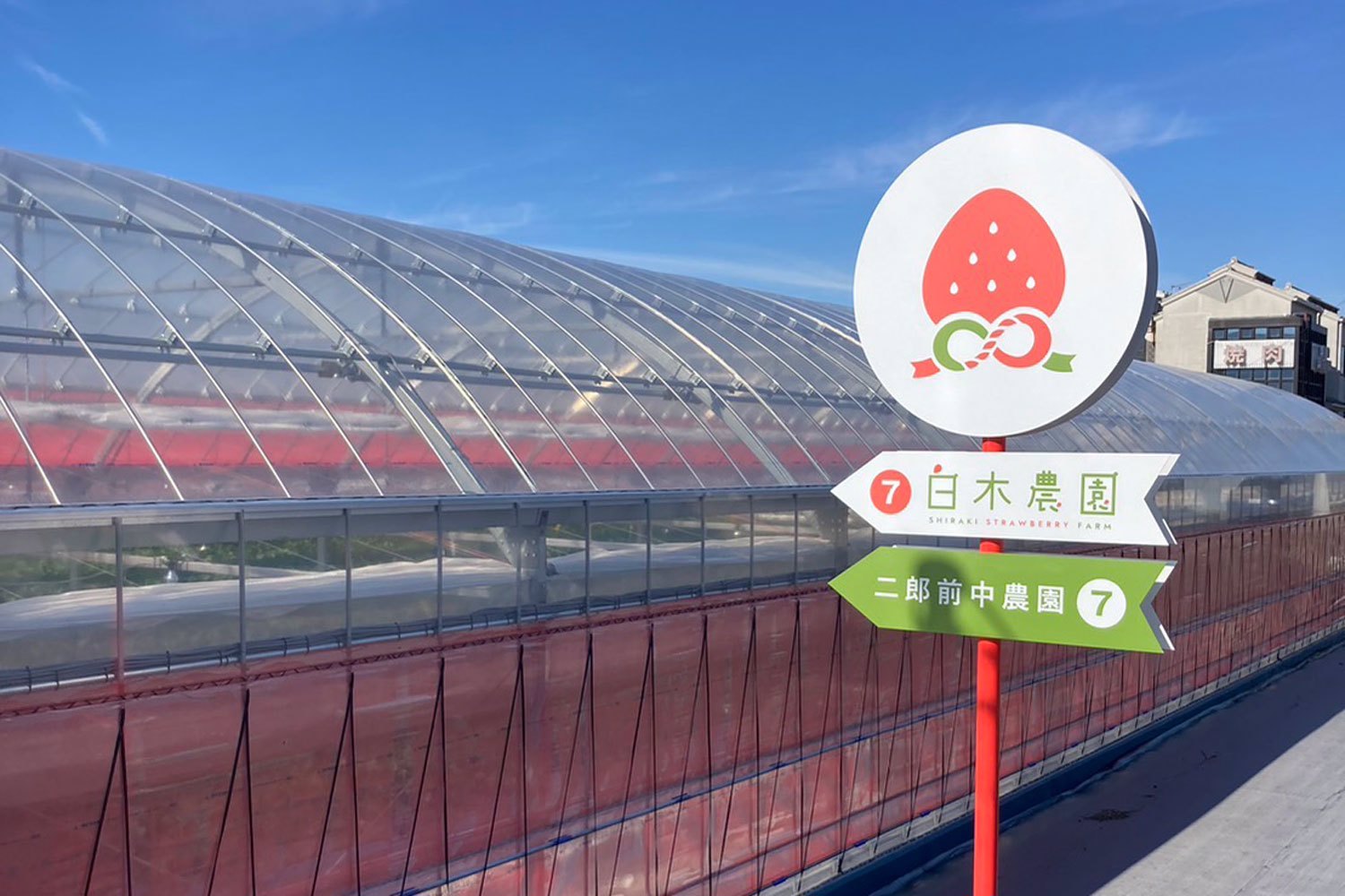 白木農園のプロジェクトレポート