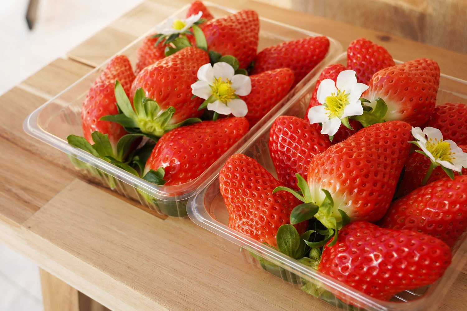 白木農園のプロジェクトレポート