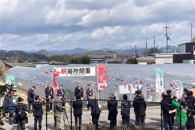 白木農園のプロジェクトレポート