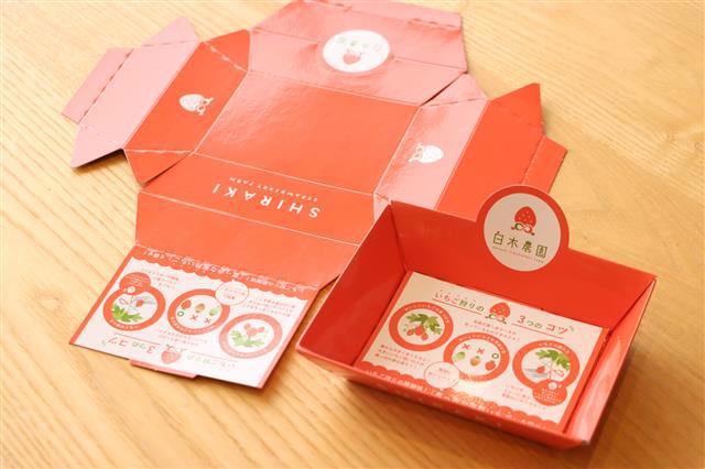 白木農園_いちご狩りトレー