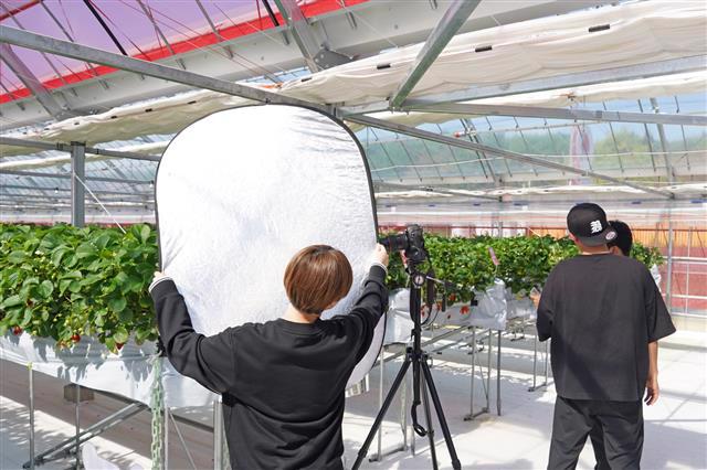 白木農園のプロジェクトレポート