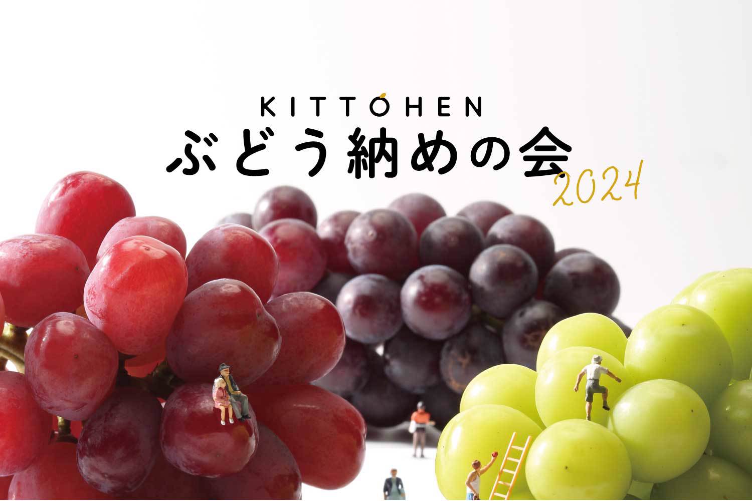 橘萄園のプロジェクトレポート