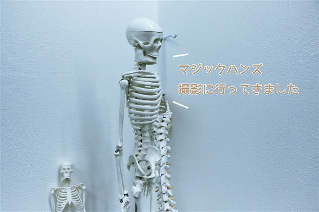 マジックハンズのプロジェクトレポート