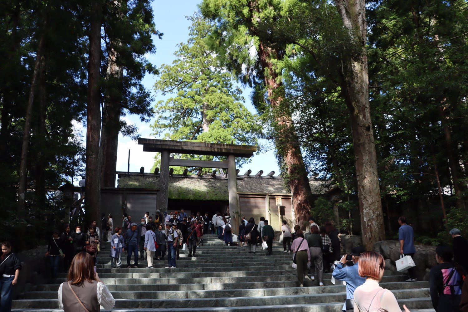 インターン課題発表