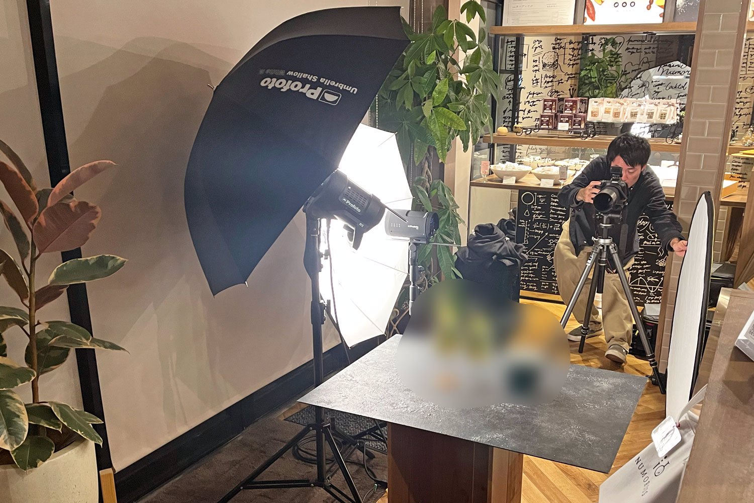 NUMOROUSのプロジェクトレポート