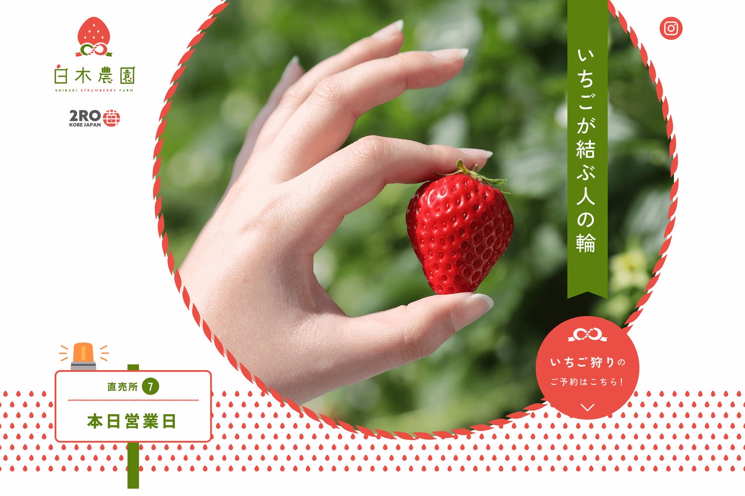 白木農園のプロジェクトレポート