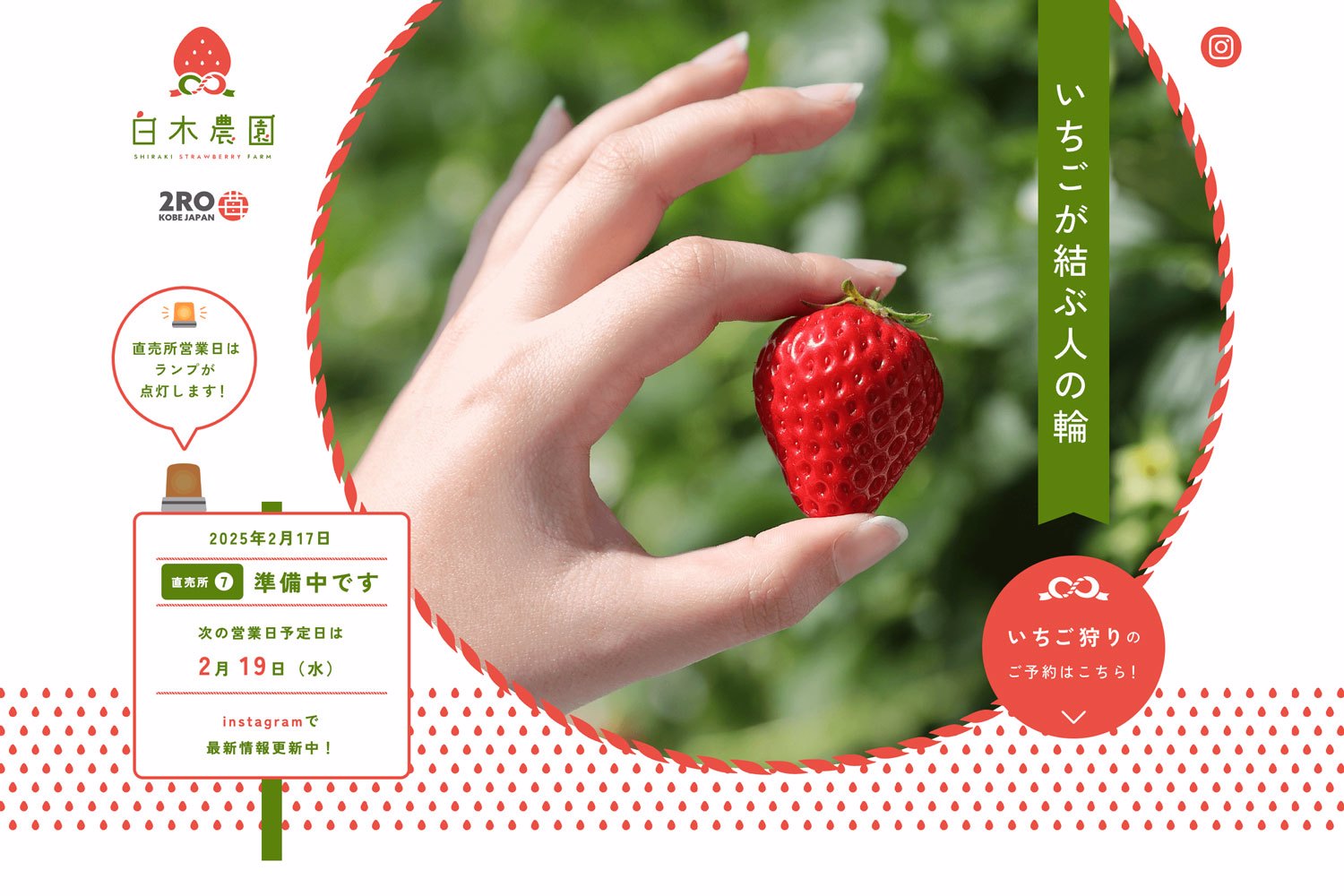 あづみのかけはしサブレー