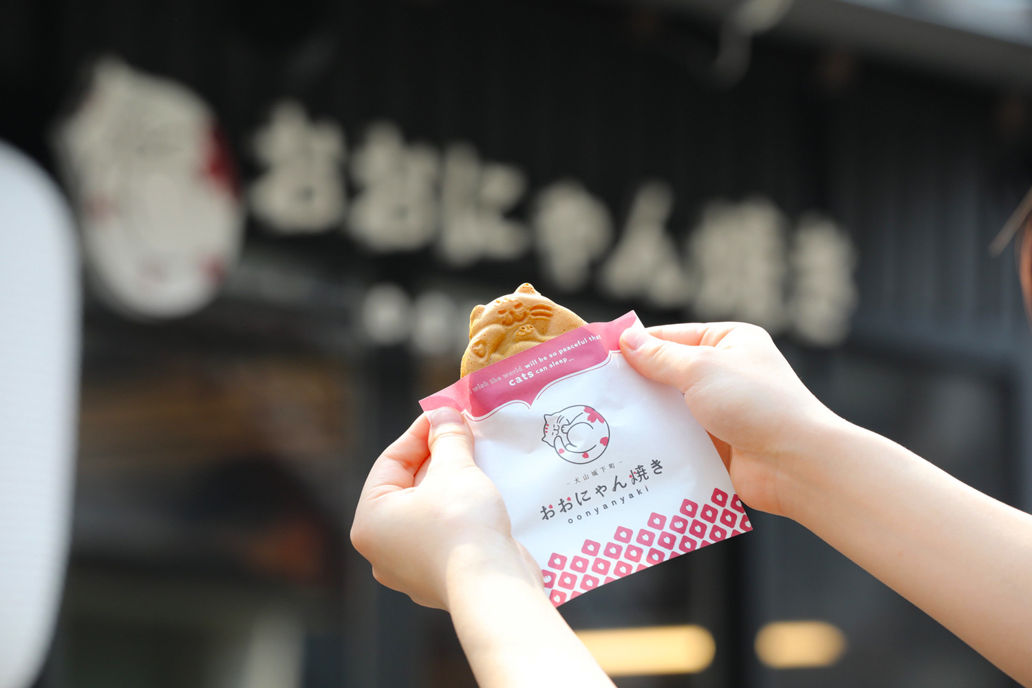 おおにゃん焼きのパッケージデザイン