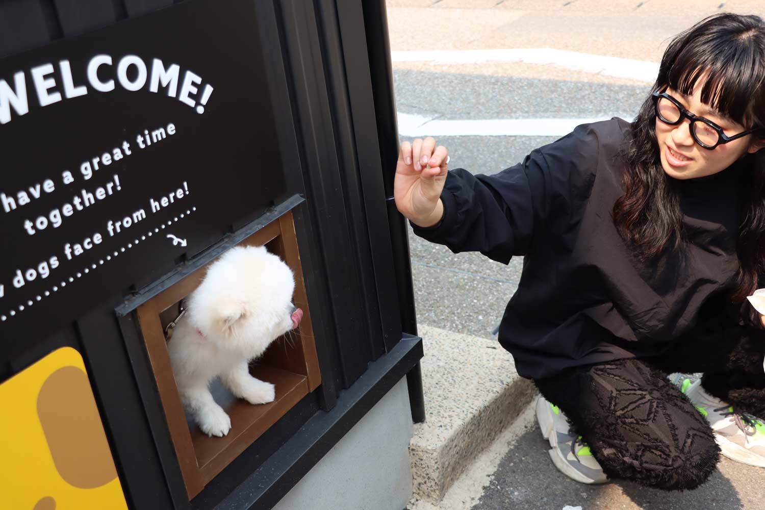 エーピーエヌのプロジェクトレポート