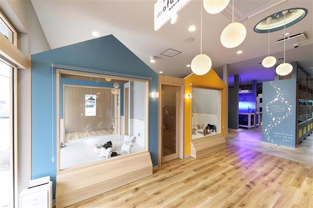 mofumareの店舗デザイン