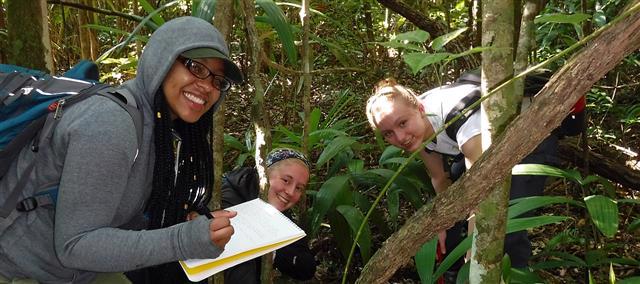 https://ceiba.org/study-abroad/scholarships/