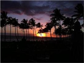 Custom Hawaiian  Honeymoon
