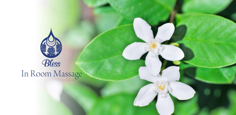 konishi@danshaku-club.com