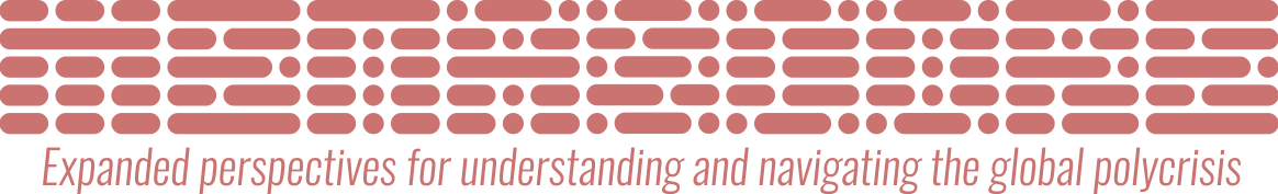 Metascope Logo/Title - Expanded perspectives for understanding and navigating the global polycrisis