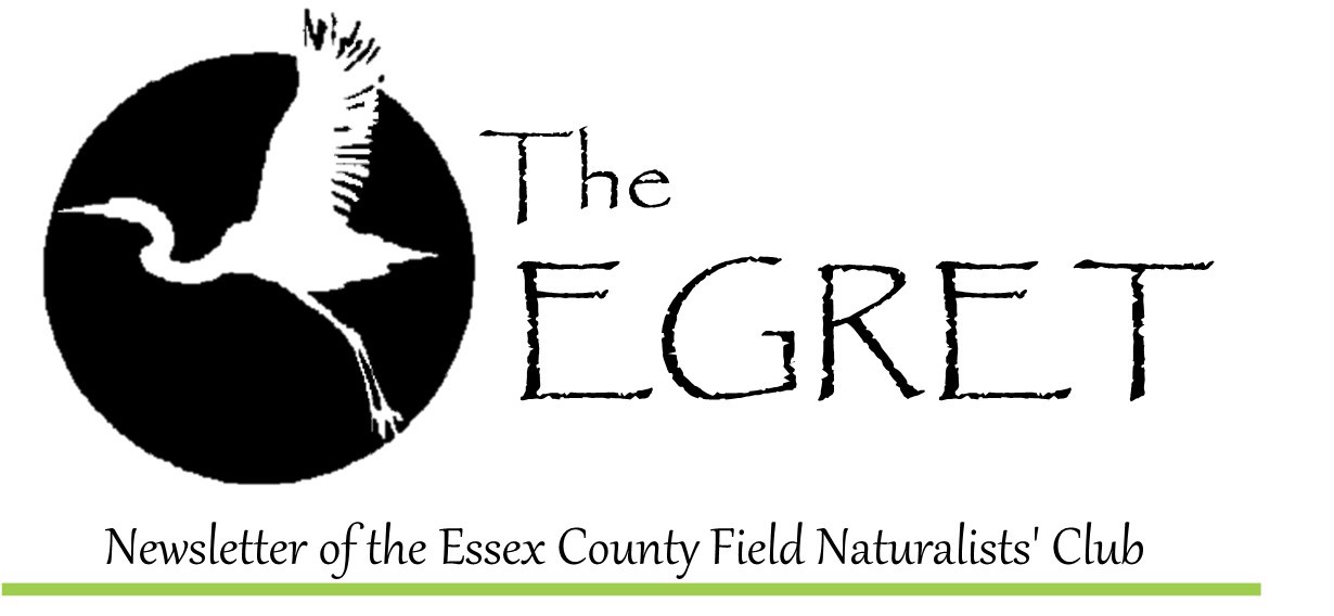 essexcountynature@gmail.com