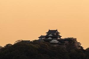 Schloss Matsuyama 