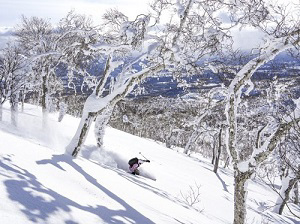 Schnee in Hokkaido